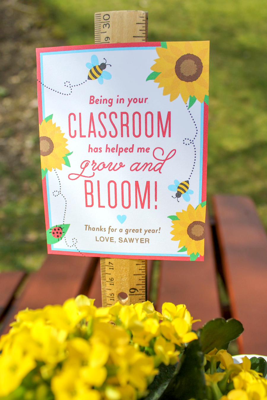 bloom-in-your-classroom-flower-teacher-gift-idea-just-add-confetti