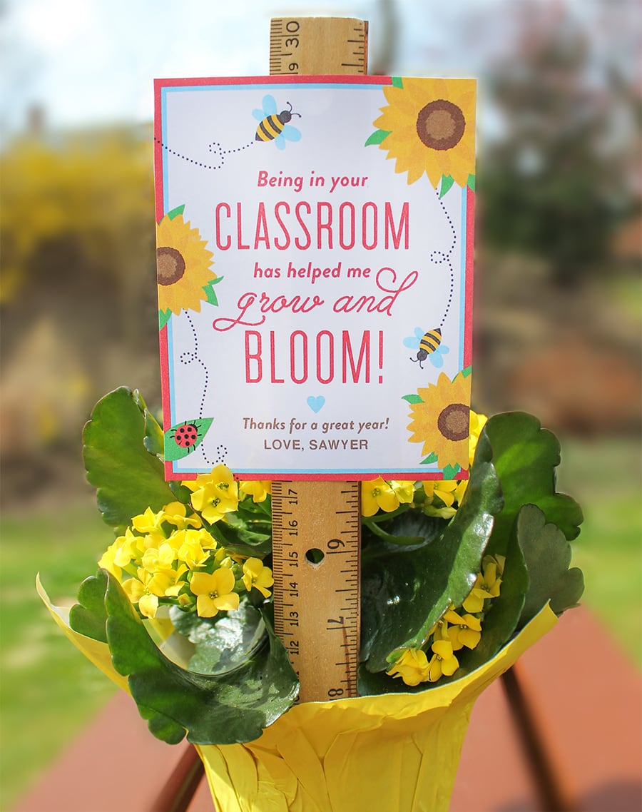  Bloom In Your Classroom Flower Teacher Gift Idea Just Add Confetti